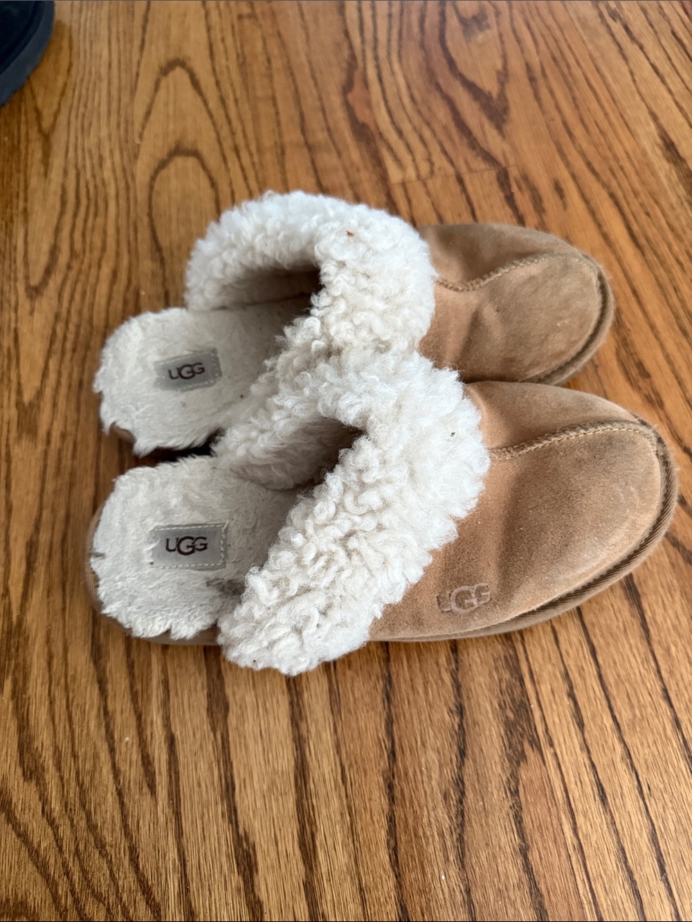 UGG Woman’s Chestnut Suede Sheepskin Clog Slippers with Cream Lining